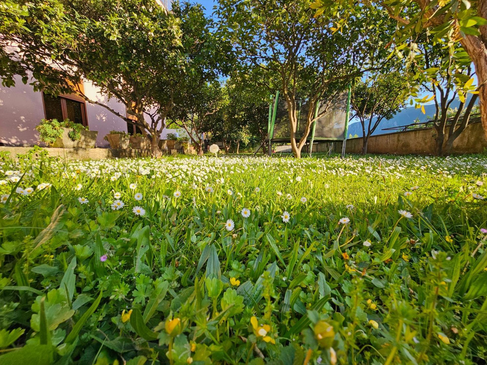 Modern Seaside Escape - Stunning Sea View - Private & Stylish Appartement Kotor Buitenkant foto