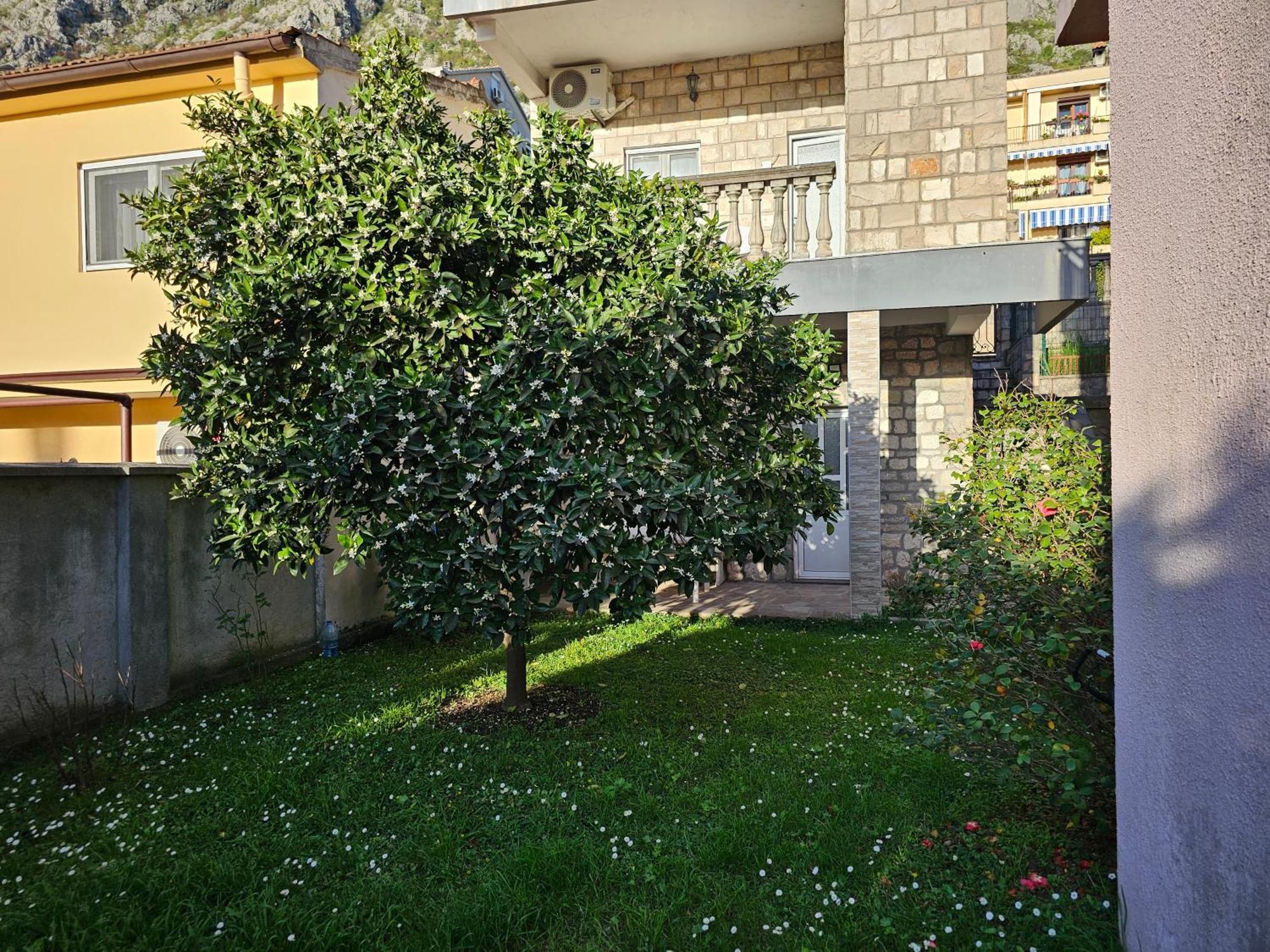 Modern Seaside Escape - Stunning Sea View - Private & Stylish Appartement Kotor Buitenkant foto